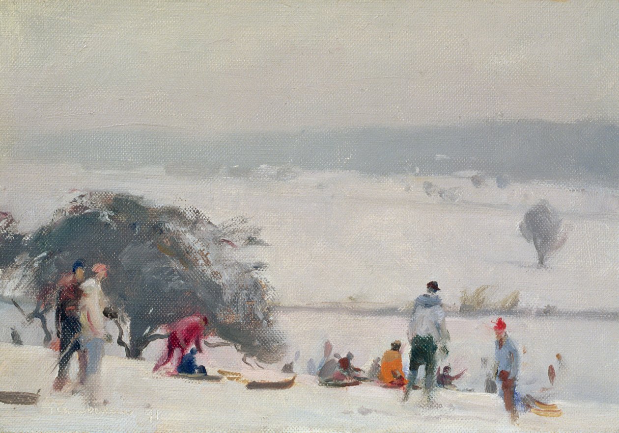 Tobogganing, Os Meads, Hertford de Trevor Chamberlain