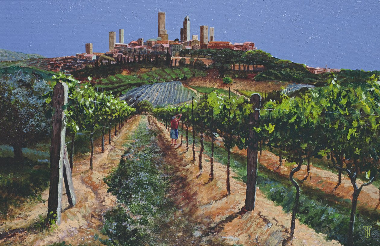 Vinhas, San Gimignano, Toscana, 1998 de Trevor Neal