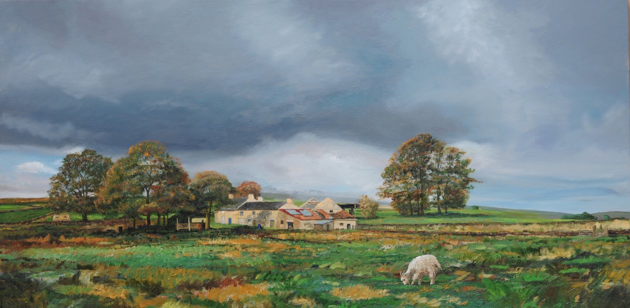 Antiga fazenda, Monyash, Derbyshire, 2009 de Trevor Neal