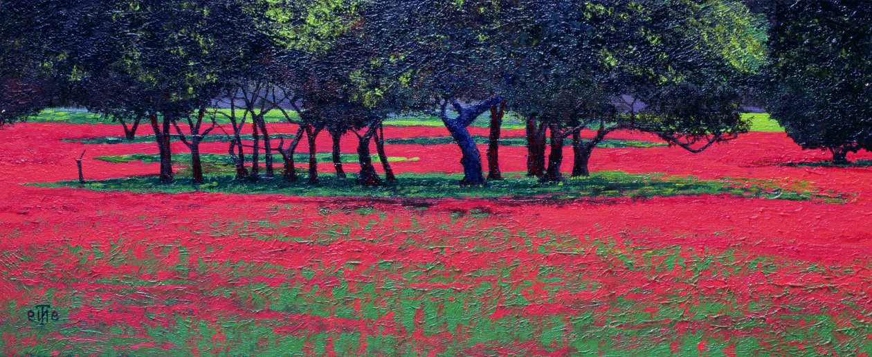 Choque Vermelho, 1999 de Trevor Neal