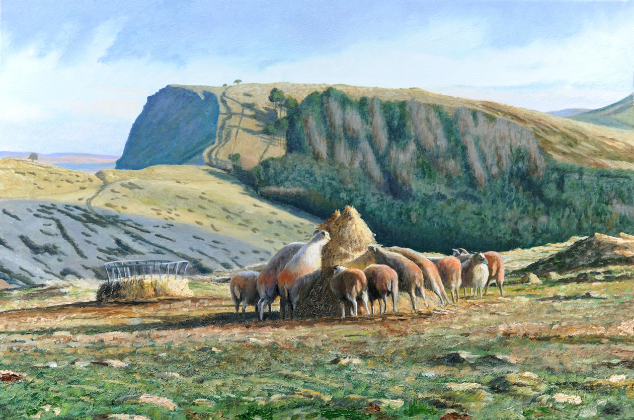 Alimentação de ovinos, 2004 de Trevor Neal