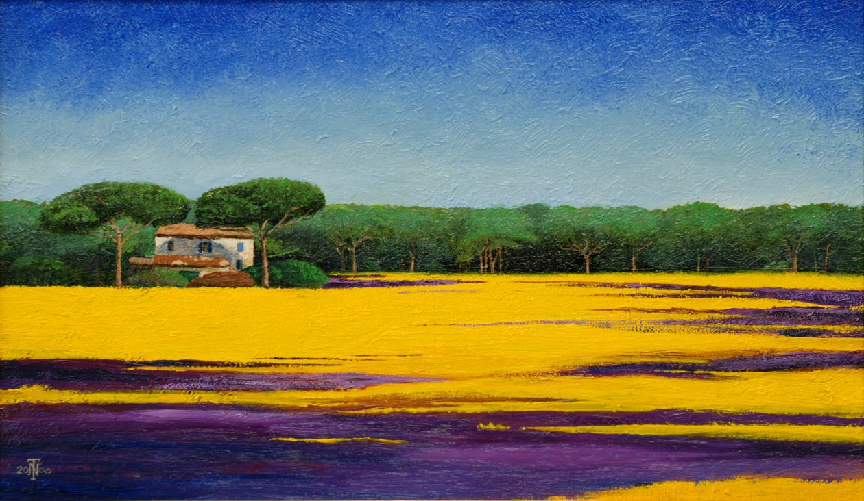 Landcape da Toscana, 2010 de Trevor Neal