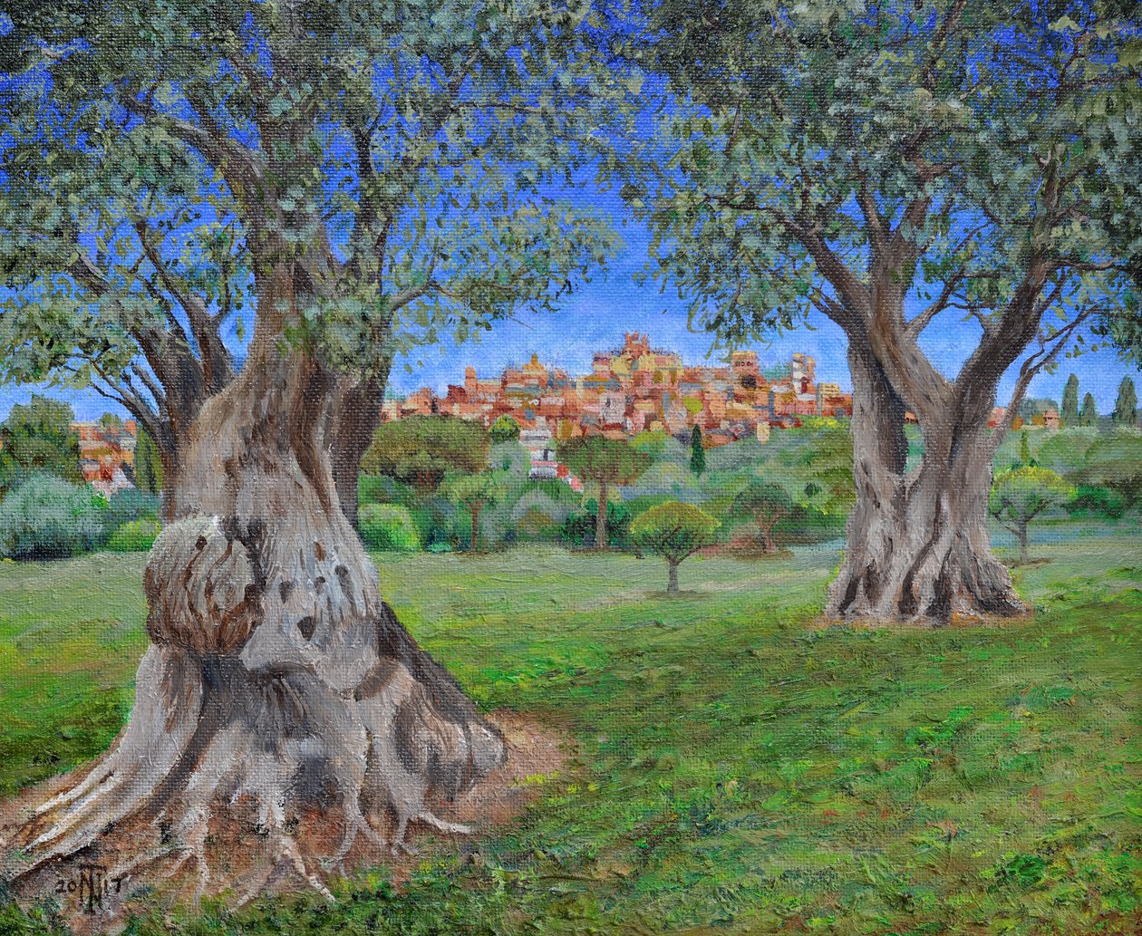 Vista de Cagnes Sur Mer do jardim de Renoirs, 2017 de Trevor Neal
