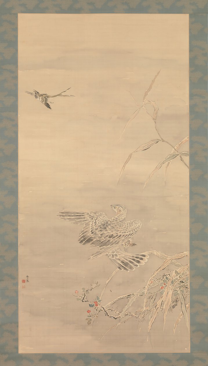 Falcão Agarrando um Pequeno Pássaro, século XIX. de Tsubaki Chinzan