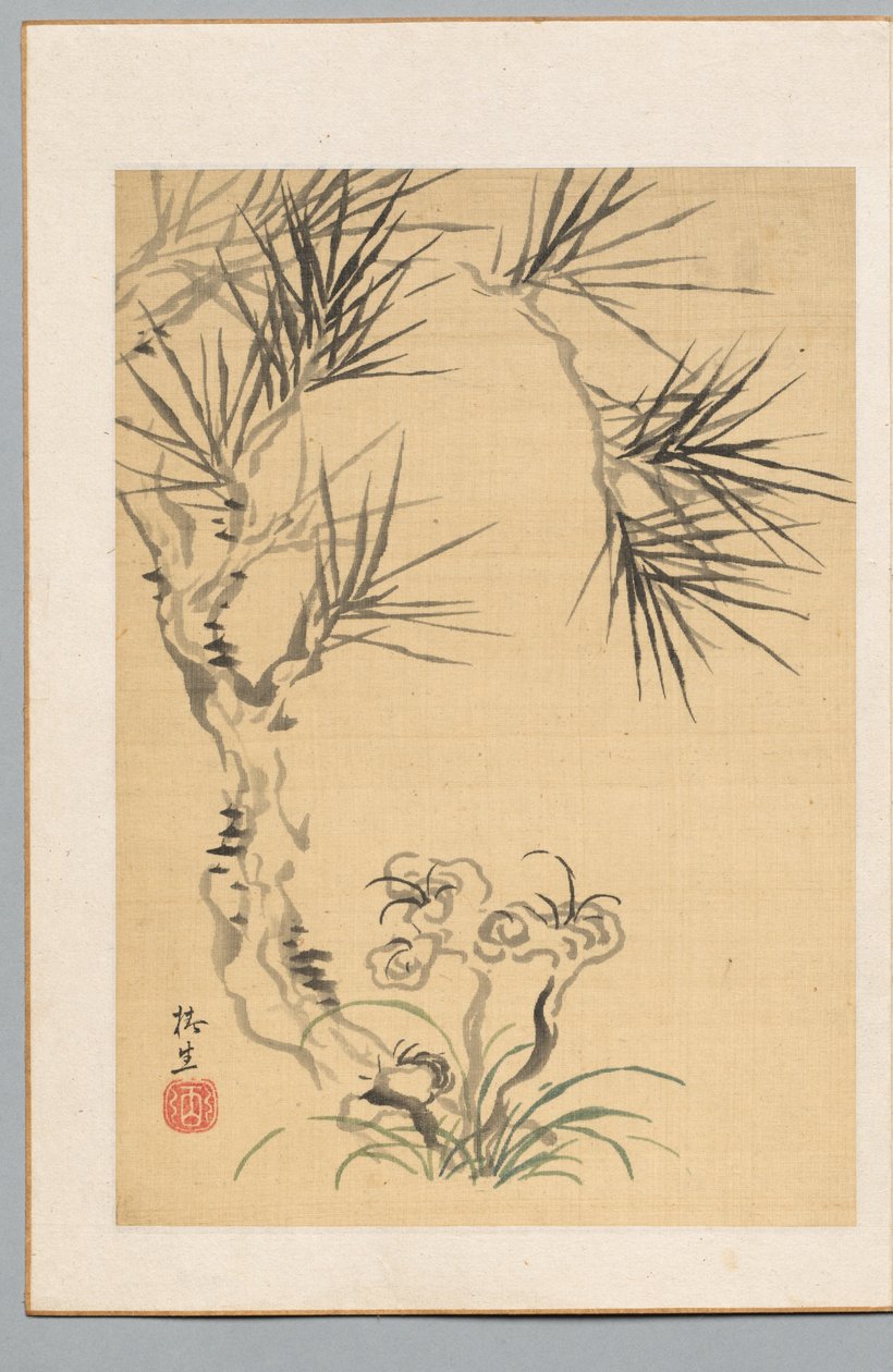 Pinheiro e Fungo de Tsubaki Chinzan