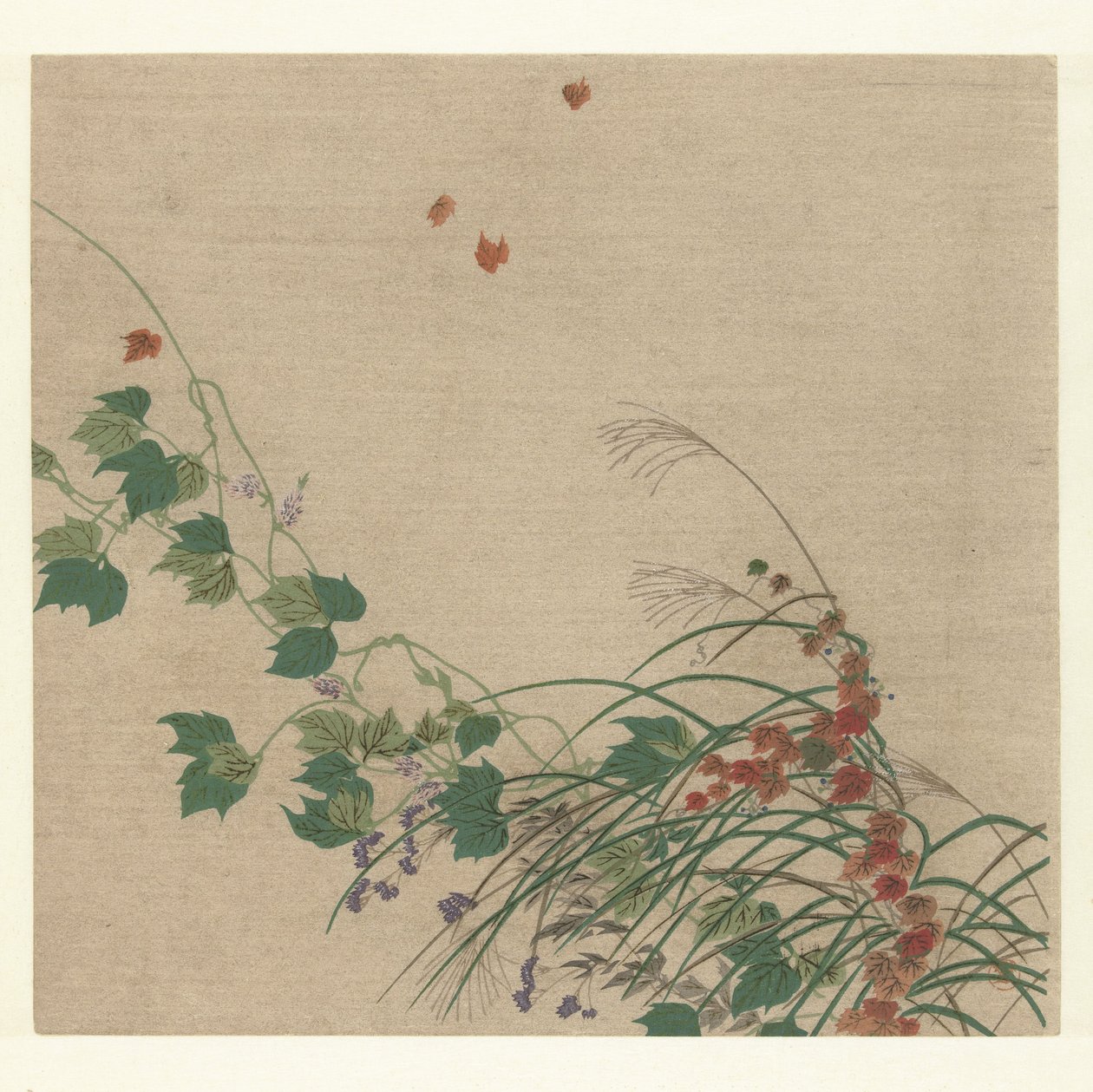 Outono de Tsukioka Kogyo