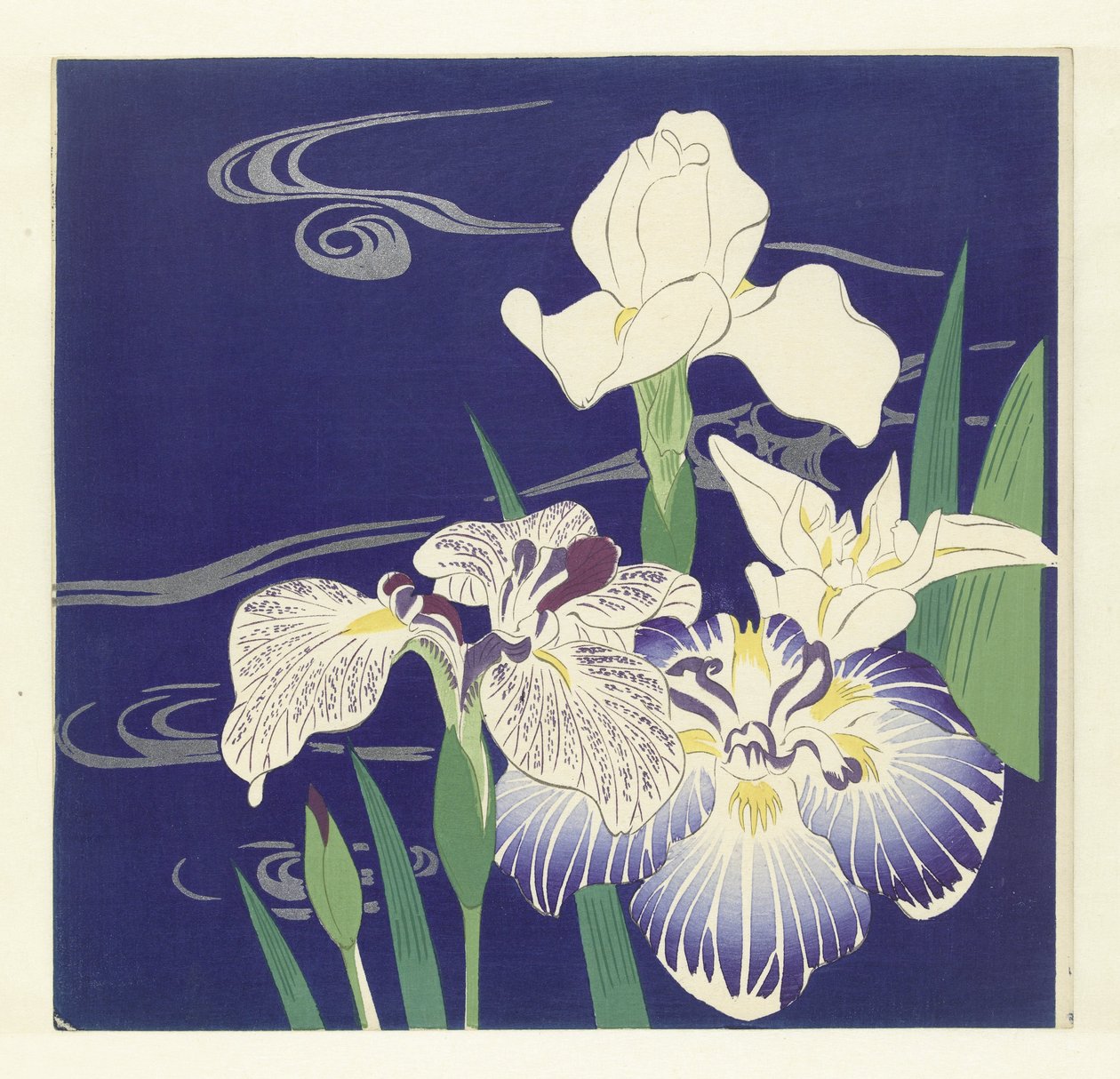 Íris de Tsukioka Kogyo