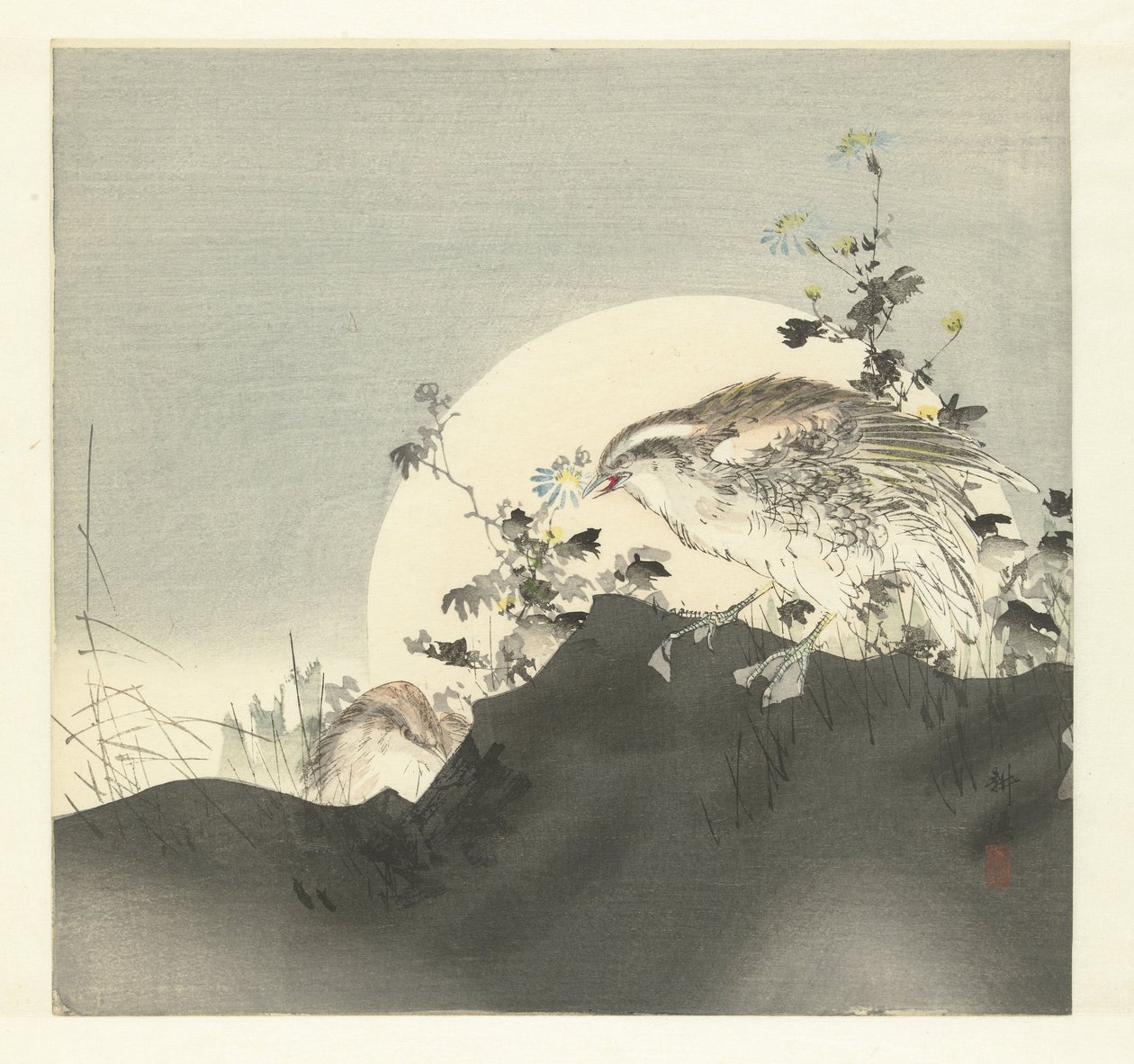 Codornizes de Tsukioka Kogyo