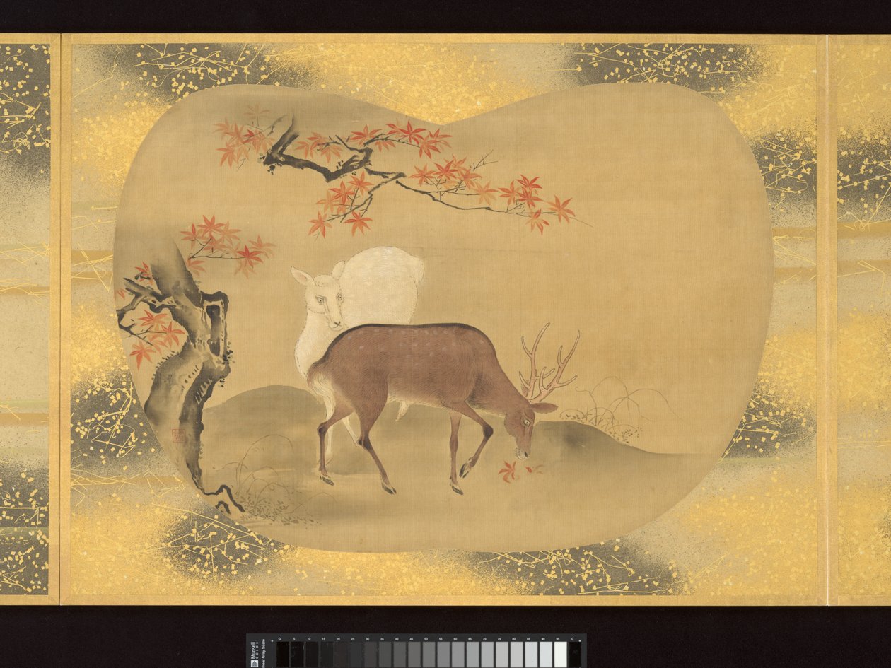 Álbum de pinturas de figuras, pássaros e flores em forma de leque de Tsunenobu Kano