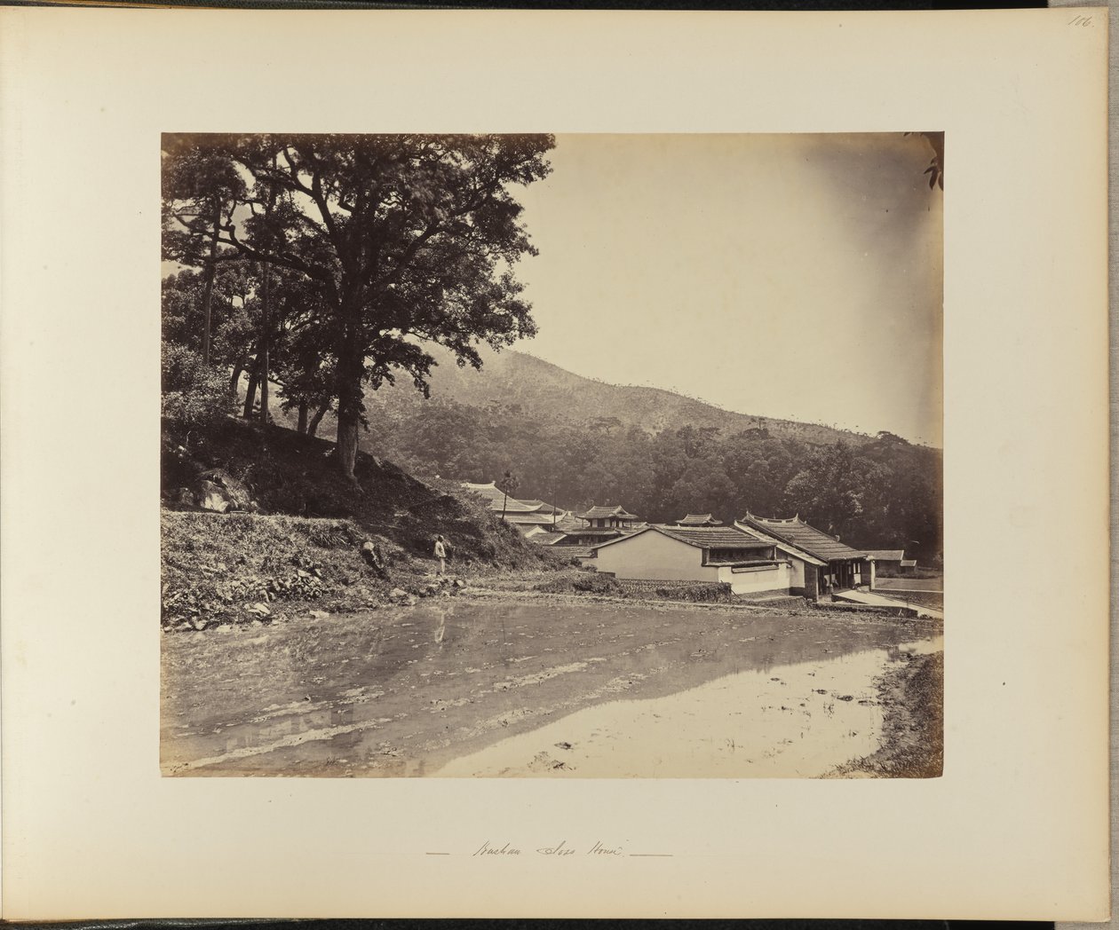 Casa de musgo de Kushan de Tung, Hing