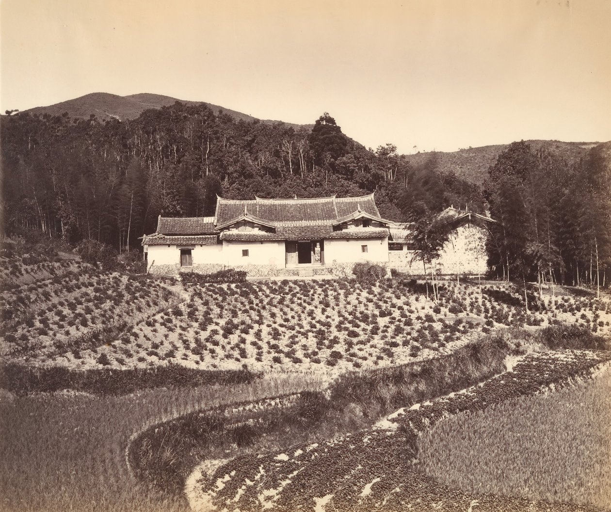 Teafield & Josshouse em Peling, ca. 1869. de Tung Hing.