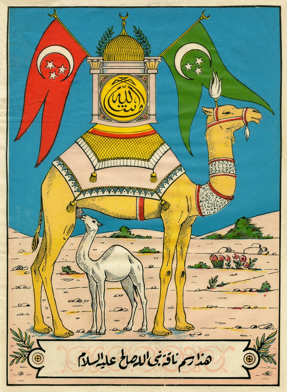 The Camel of Saleh, Sura 7, versículo 71: (...) este camelo de Deus é para ti um sinal (...). Imagens populares, Tunísia de Tunisian School