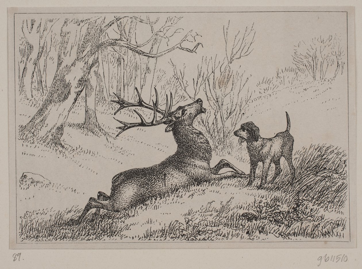 Ilustração para o poema "Hjorten" de Gotfred Rode de Ubekendt