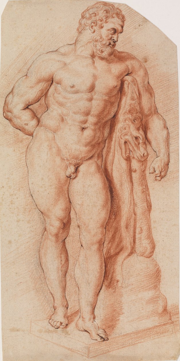 O Herculese Farnese, Nápoles de Ubekendt