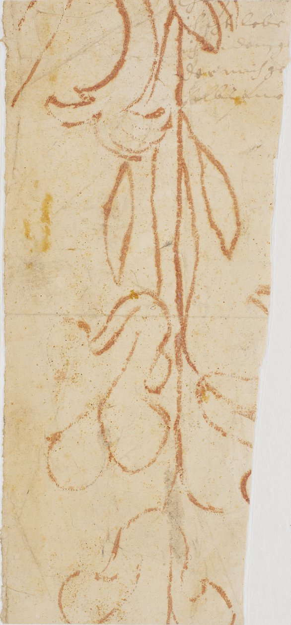 Plantornament (fragmento) de Ubekendt KKSgb7383