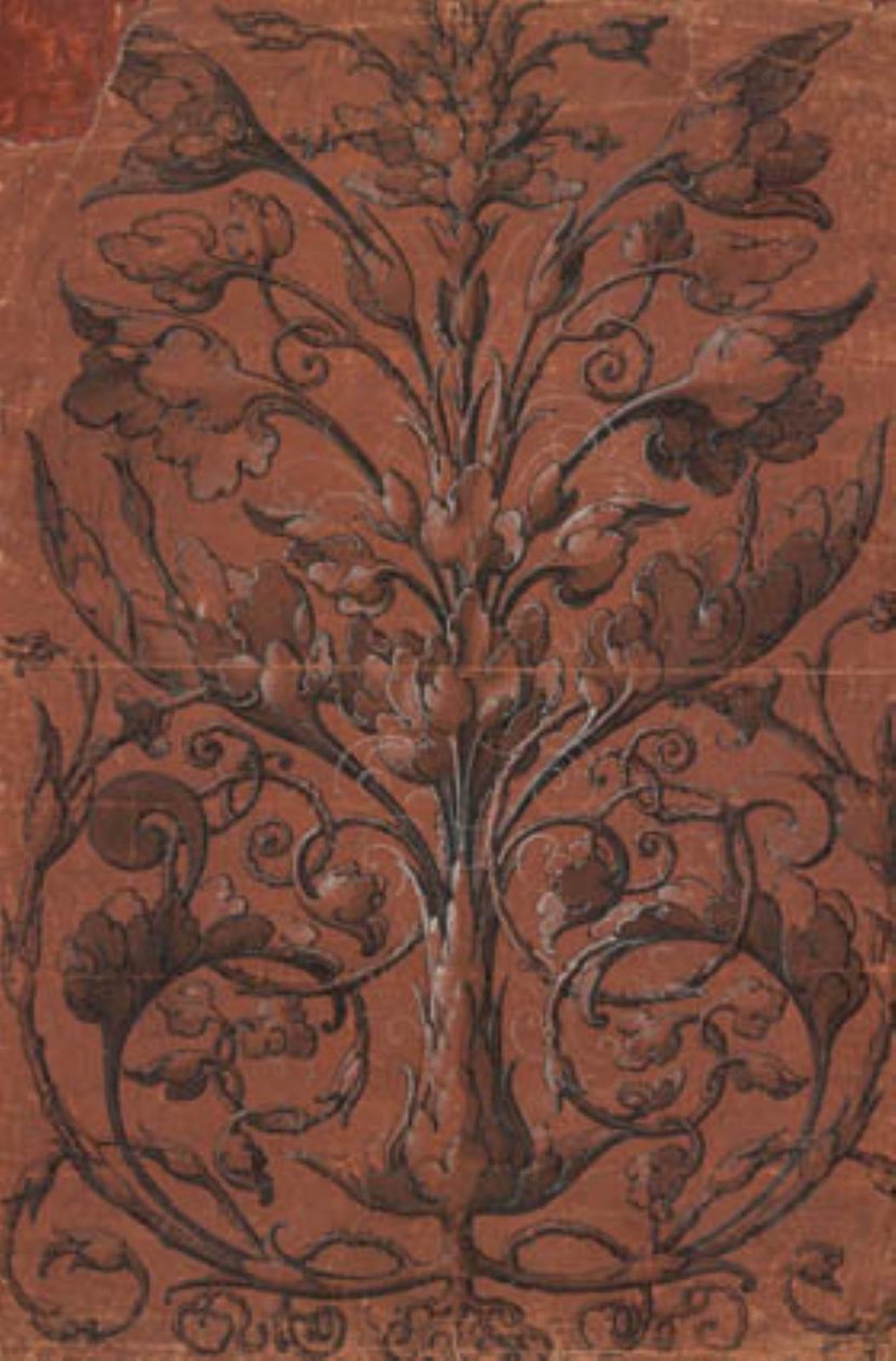 ornamentação de plantas simétricas de Ubekendt tysk 1520