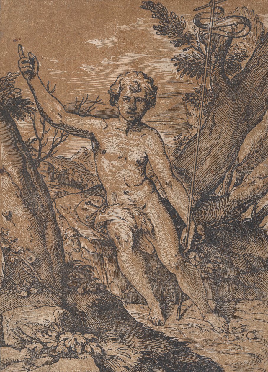 O jovem São João Batista no deserto, ca. 1520-27. de Ugo da Carpi