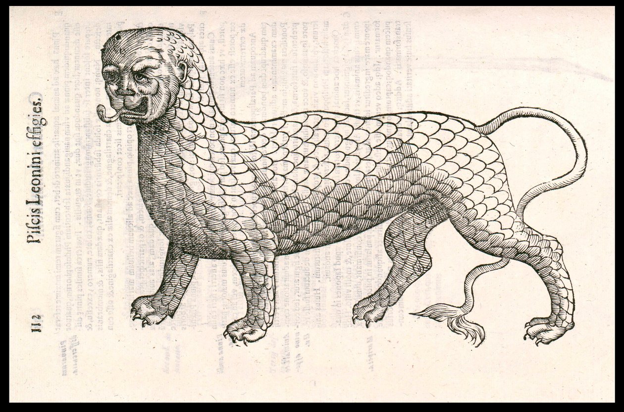 Monster Creature: um leão coberto com escamas de peixe (ou peixe leão). Gravura de Ulisse Aldrovandi (1522-1605), "Monstrorum Historiae", Bolonha 1642 de Ulisse Aldrovandi