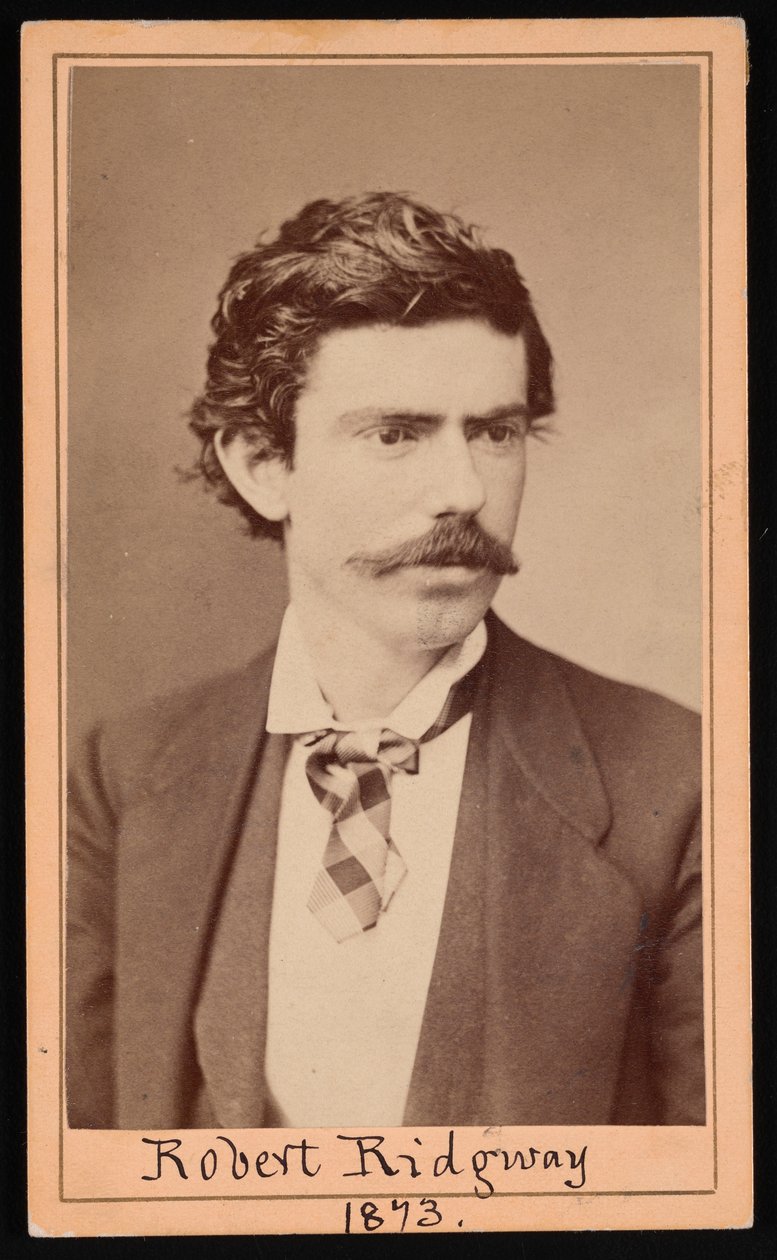Retrato de Robert Ridgway 1850-1929, abril de 1873. de Ulke Bros