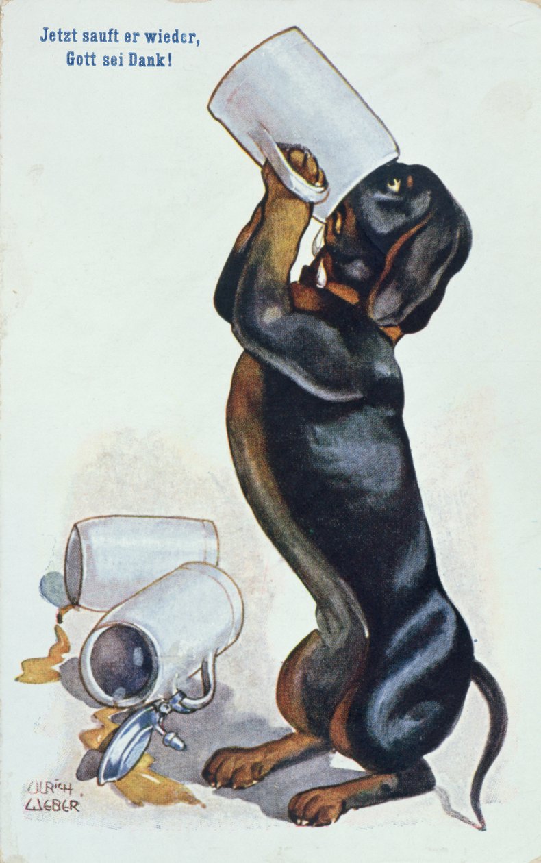 Uma cerveja bebendo do Dachshund, c.1900 de Ulrich Weber