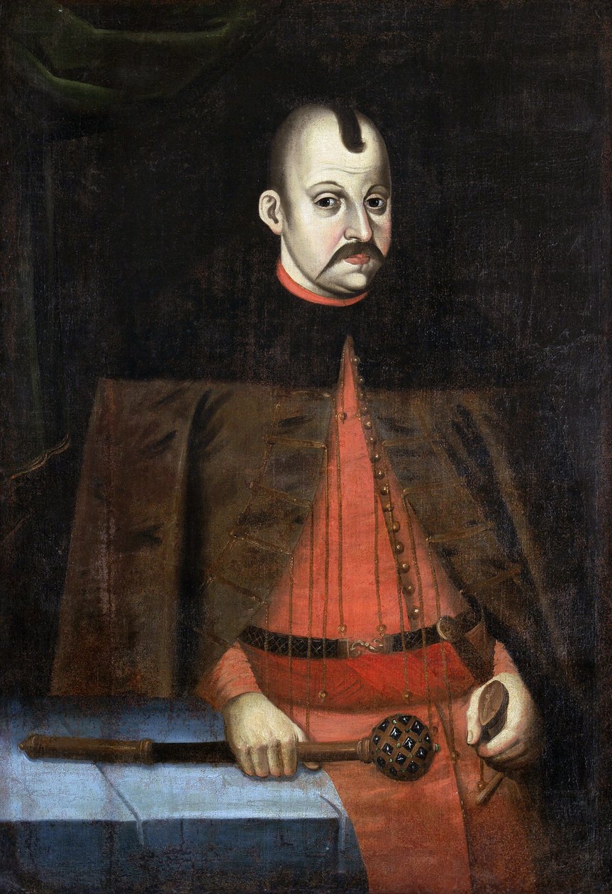 Albrecht Uładisłaŭ Radzivił de Unbekannt Unbekannt