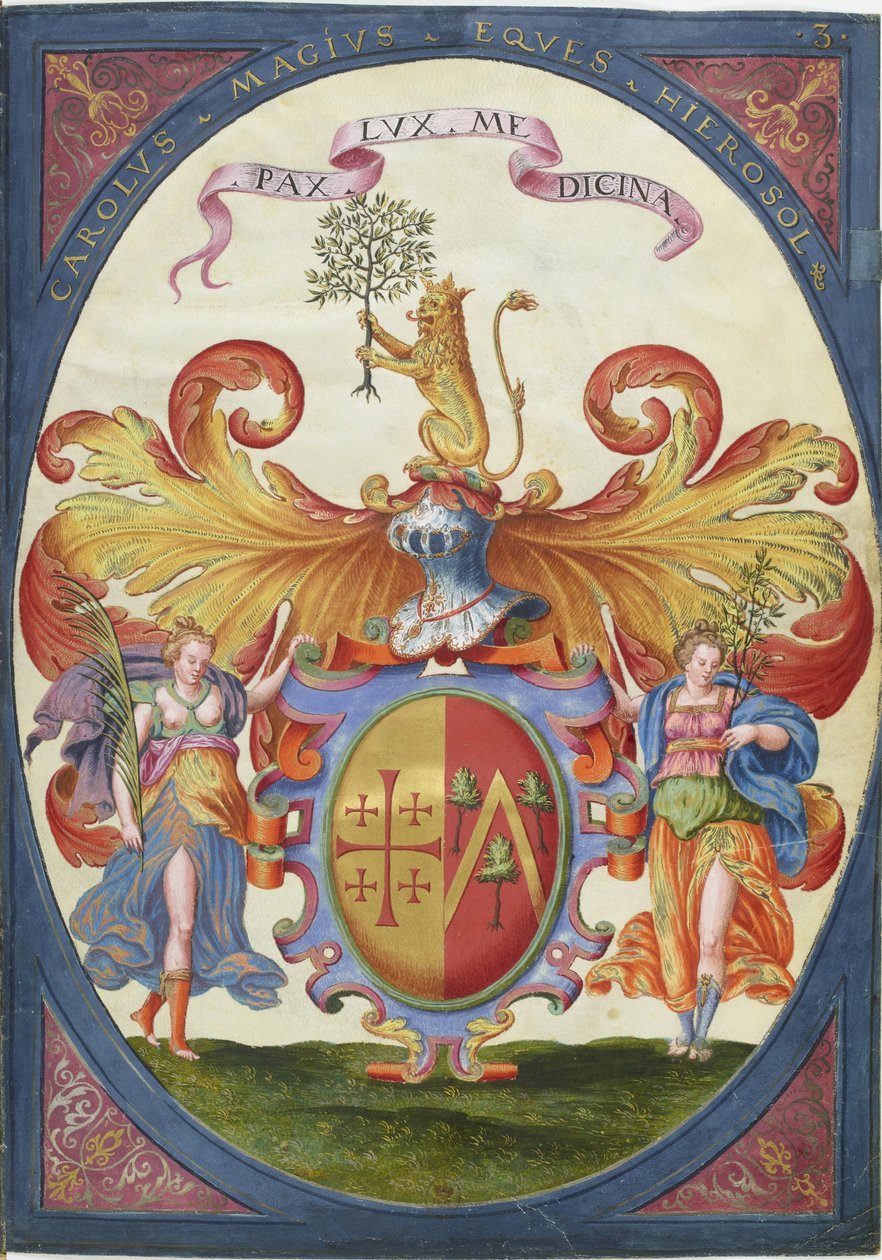 Voyages et Aventures de Ch. magius de Unbekannt Unbekannt
