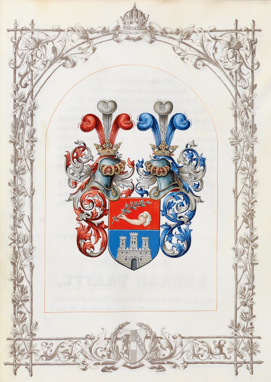 Brasão de armas do diploma equestre para o Dr. med. Alois Cavaleiro de Visini de Unbekannt Unbekannt