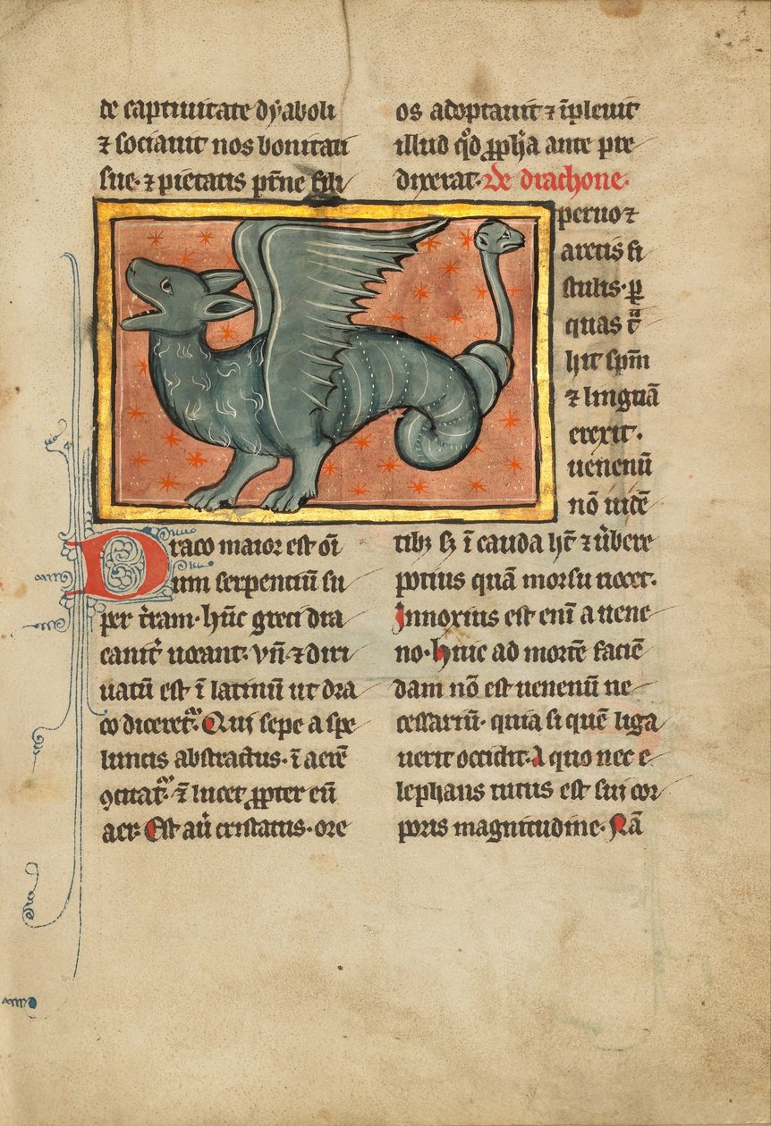 Um dragão alado de Unbekannt Unbekannt