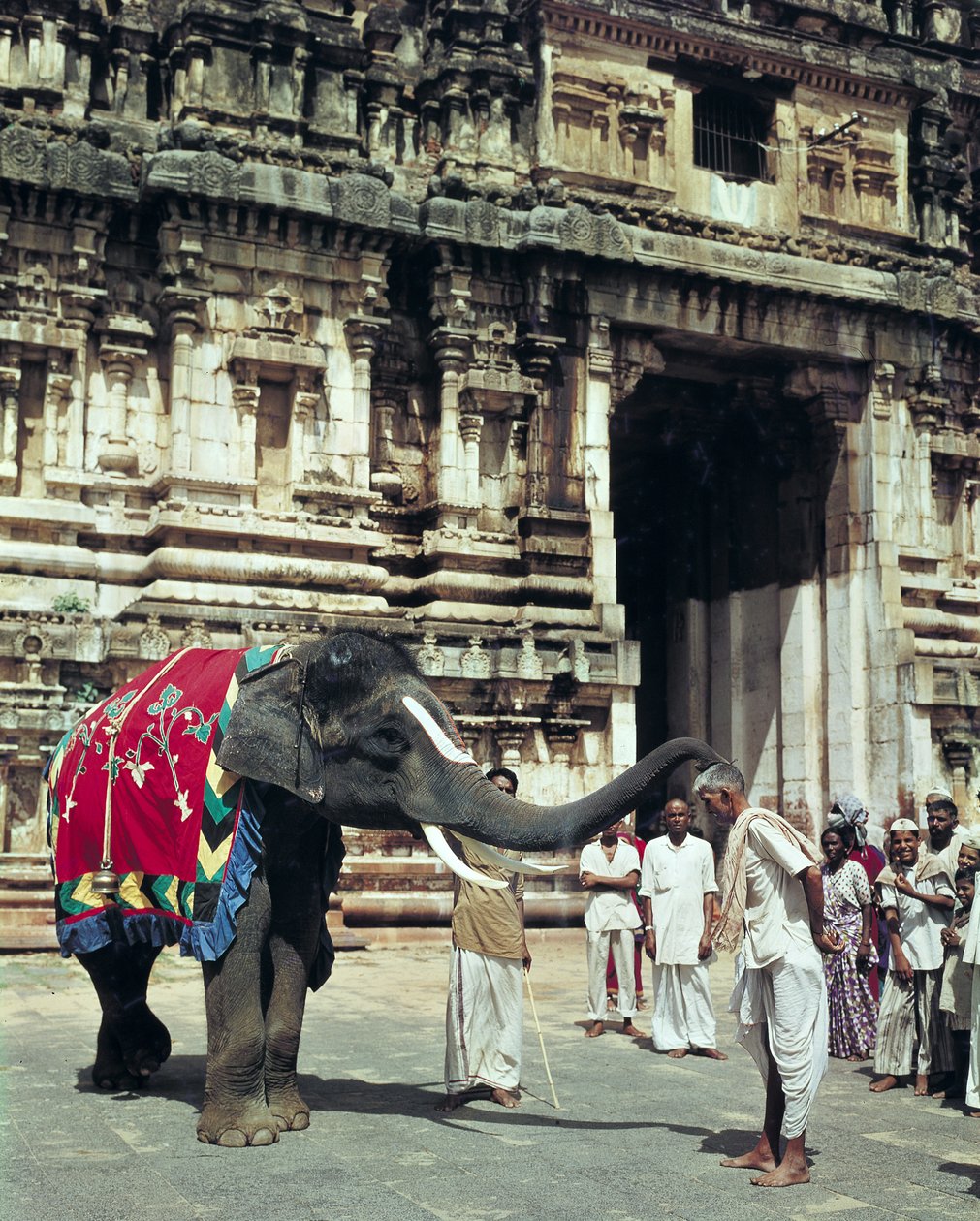 Um homem sendo abençoado por um elefante no templo de Varadarajaswamy de Unbekannt Unbekannt