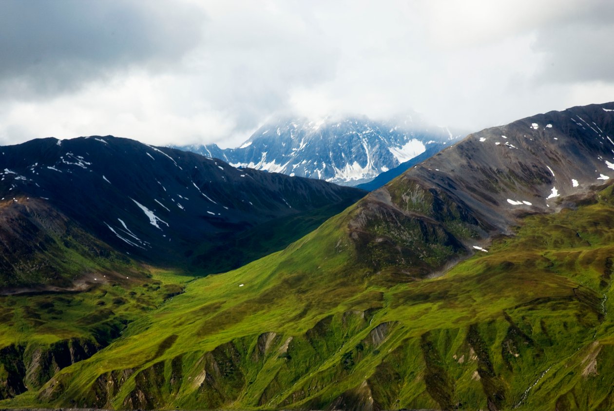 Tundra do Alasca, parque nacional de denali, no alasca de Unbekannt Unbekannt
