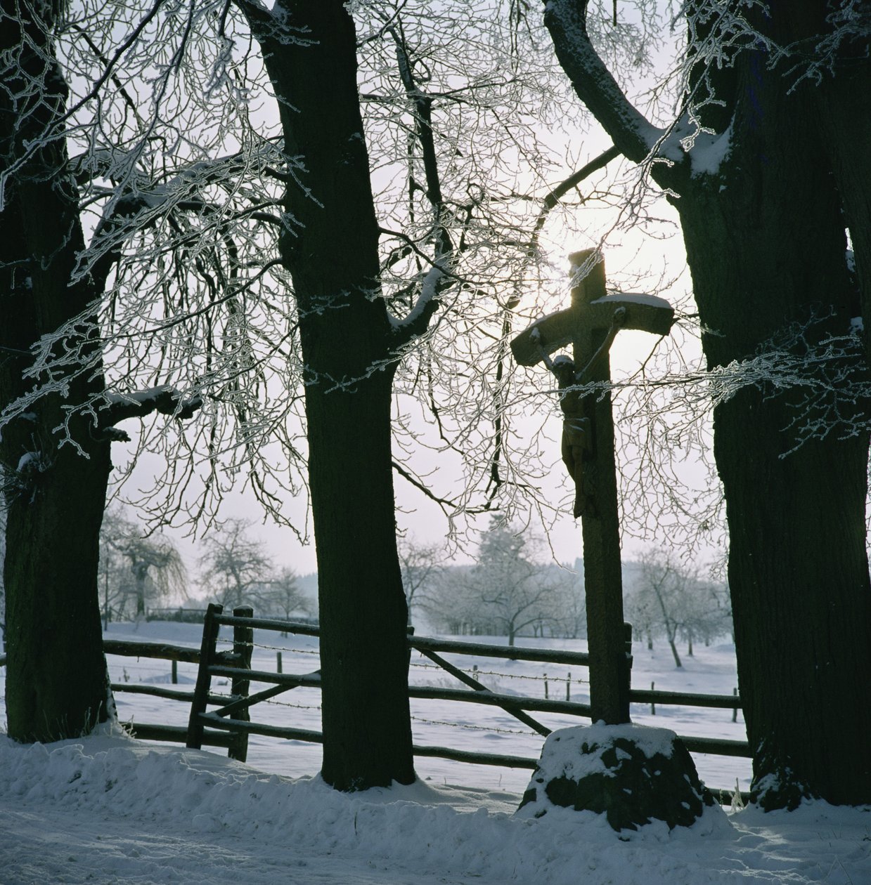 Cruz na neve perto de Winterberg, Alemanha de Unbekannt Unbekannt