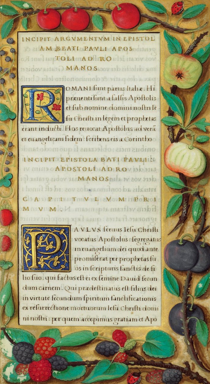 Página de texto decorada (6807970) de Unbekannt Unbekannt