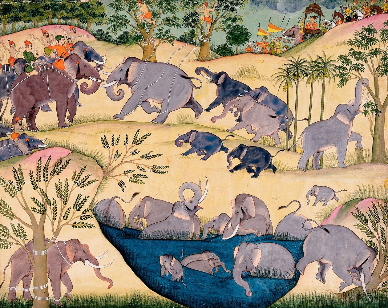 Caça Elefante de Maharaja Anup Singh de Bikaner de Unbekannt Unbekannt