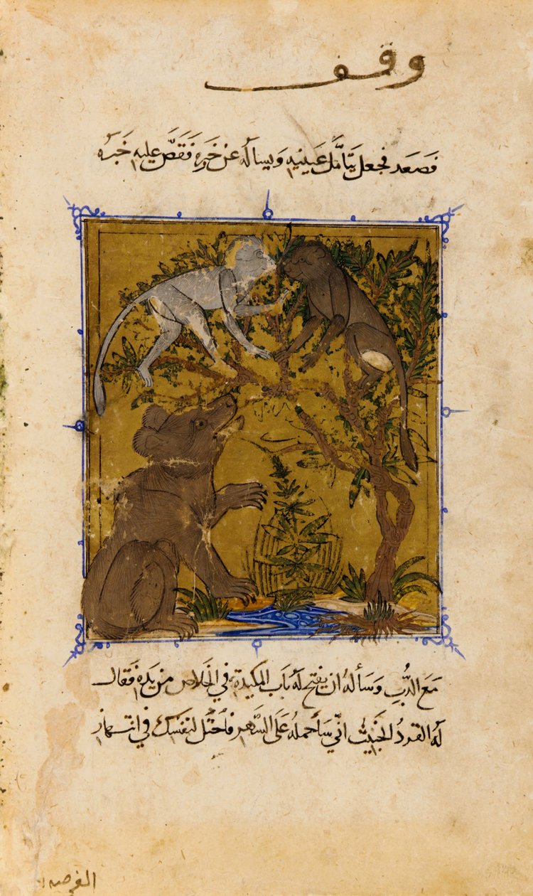 Folio de um Sulwan al-Muta (consolo do prazer) por Ibn Zafar; verso - O Conto do Urso e o M ... de Unbekannt Unbekannt