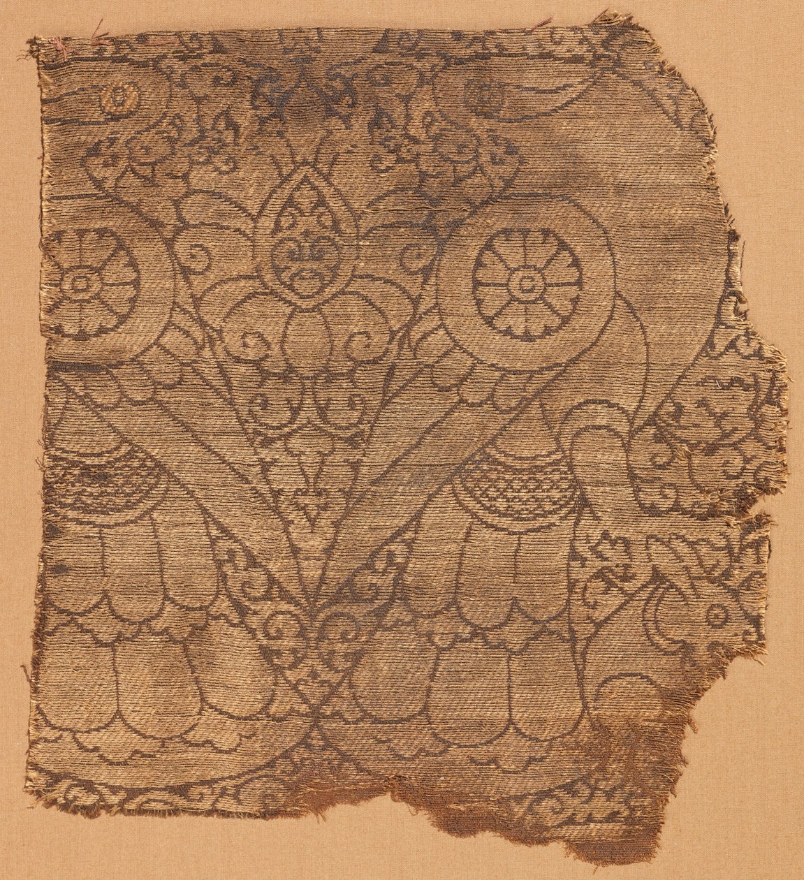 Fragmento de vestuário de Unbekannt Unbekannt