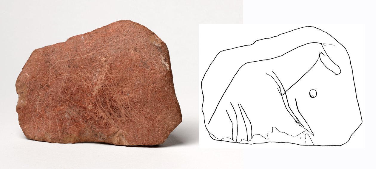 Motivo de cavalo gravado numa placa de pedra calcária de Unbekannt Unbekannt