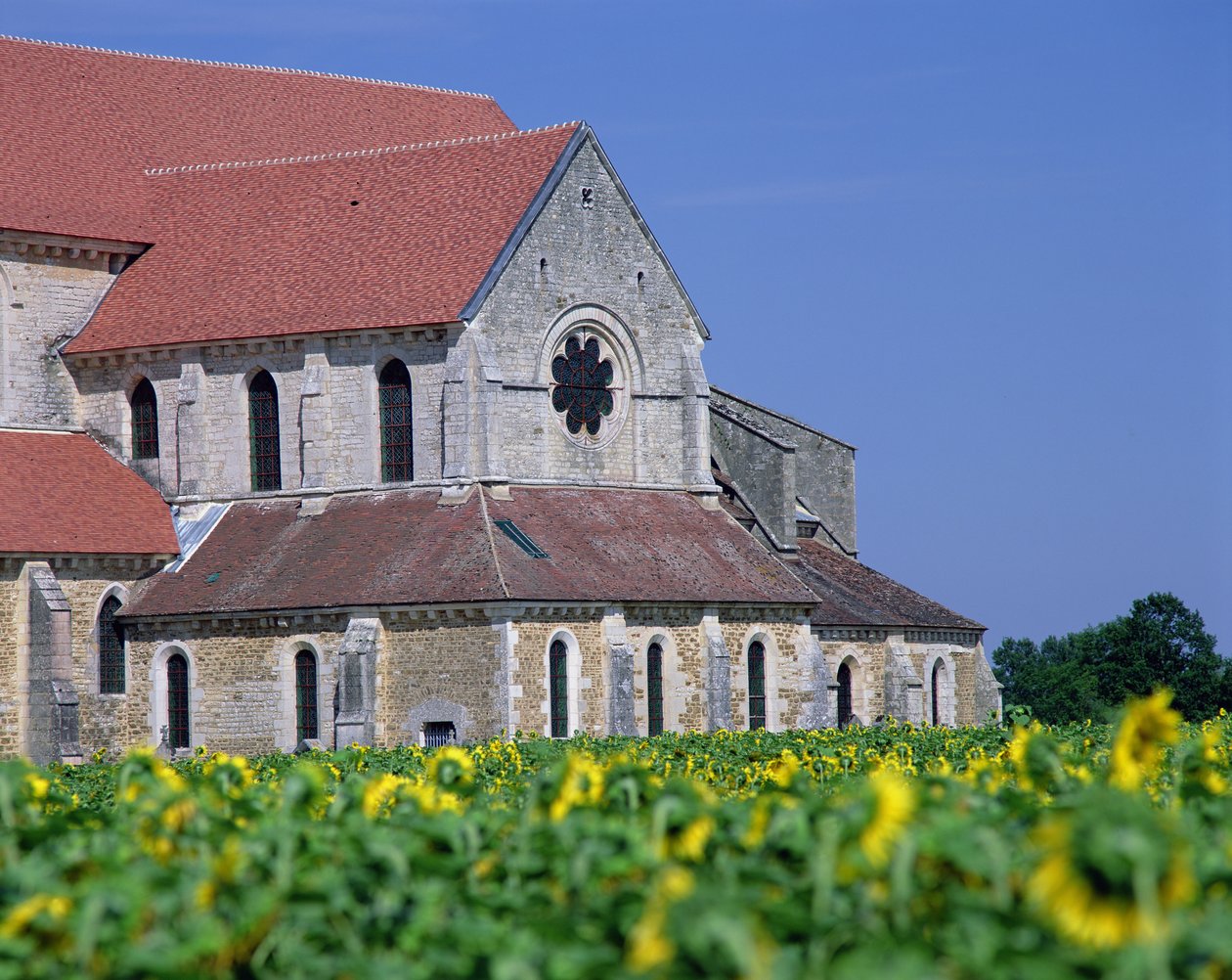 Abadia de Pontigny de Unbekannt Unbekannt