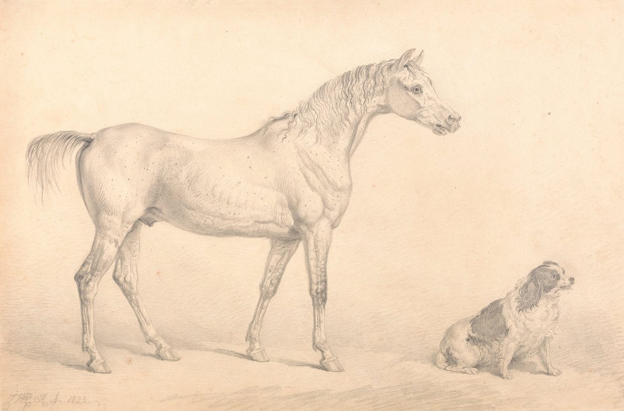 Retratos de um cavalo cinza e um preto e branco Spaniel, a propriedade do direito honorável C. Arbu ... de Unbekannt Unbekannt