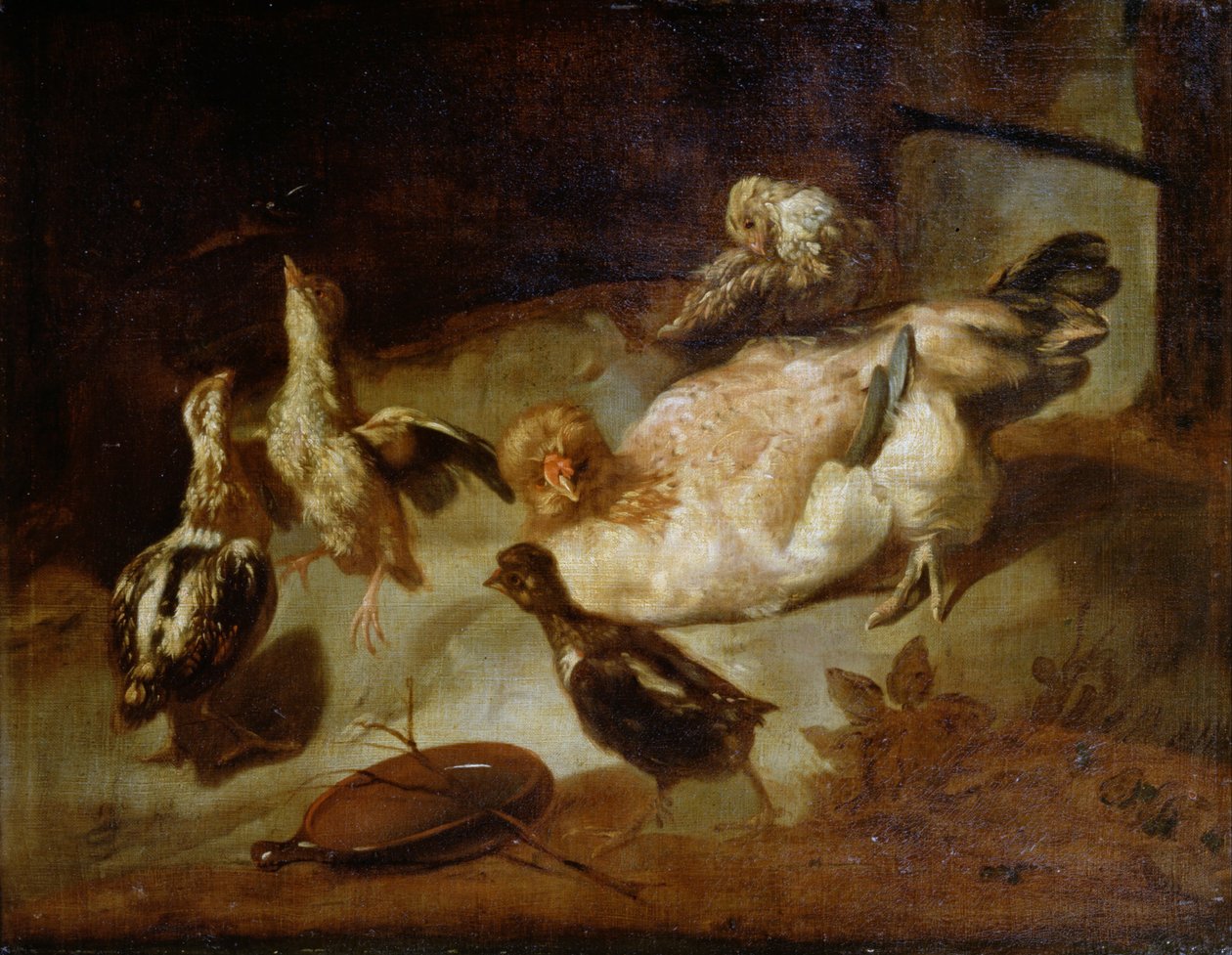 Aves de capoeira de Unbekannt Unbekannt