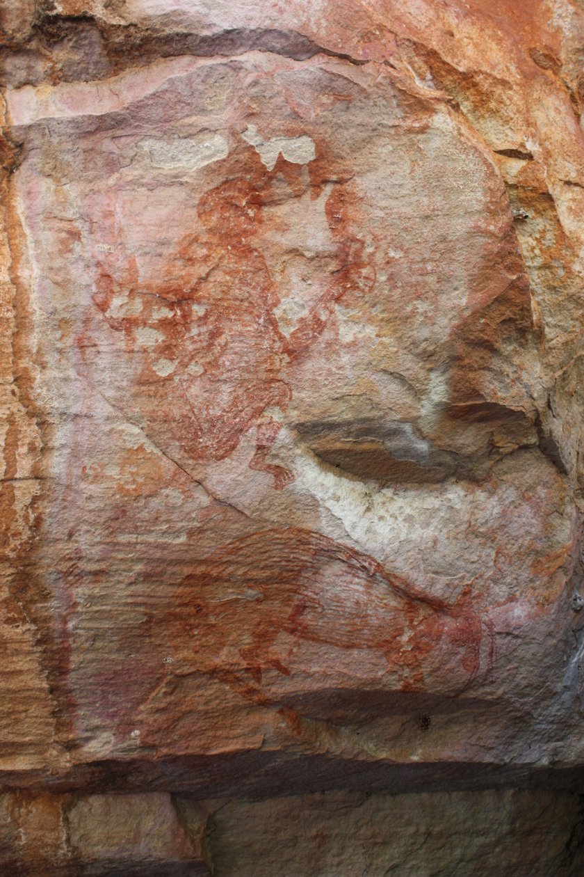 Figura humana vermelha e wallaby de Unbekannt Unbekannt