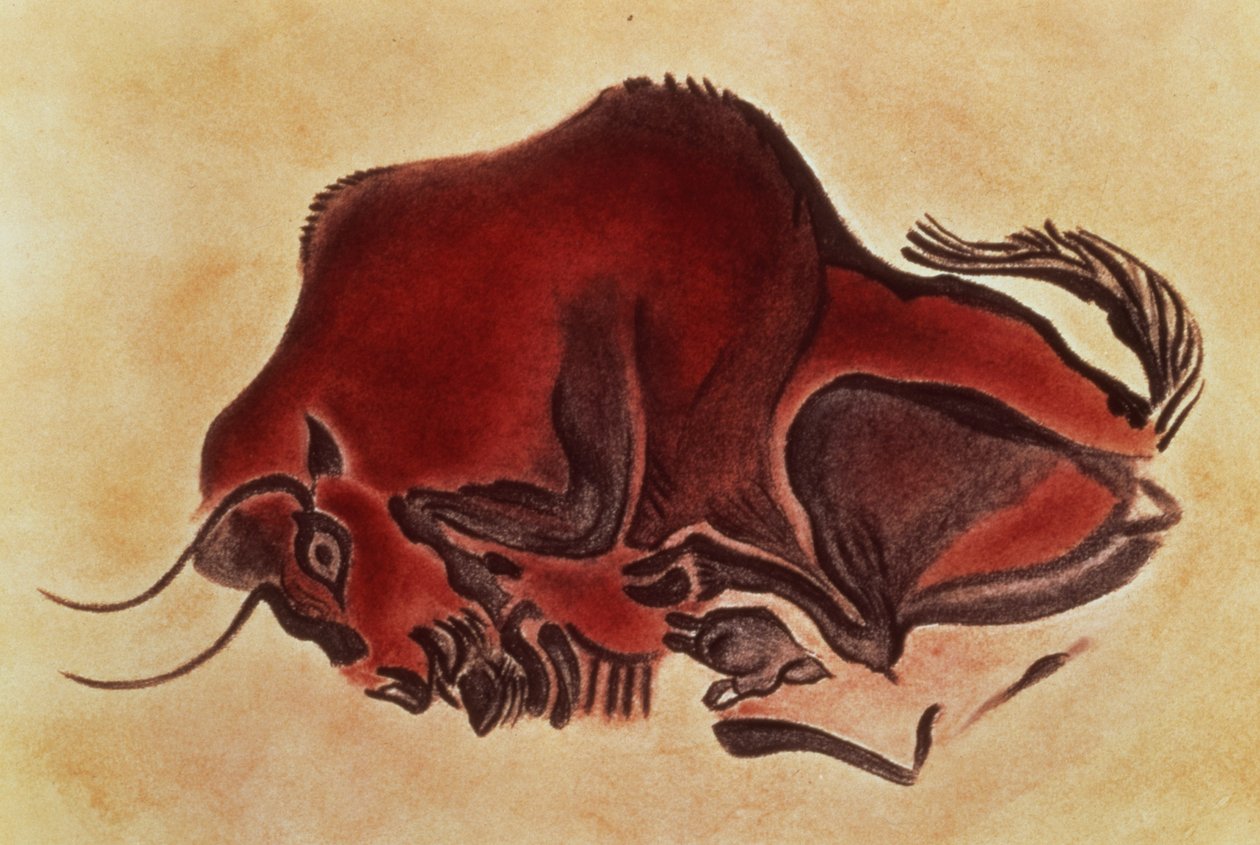 Pintura rupestre de um bisontes, Madalena tardia, 13000 aC de Unbekannt Unbekannt