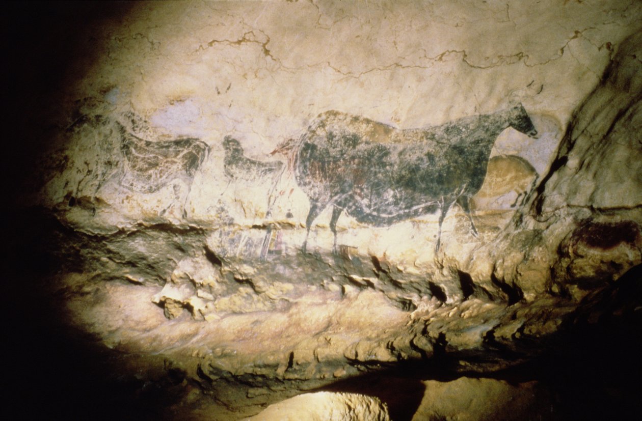 Pintura rupestre de uma vaca negra, c.17000 aC de Unbekannt Unbekannt
