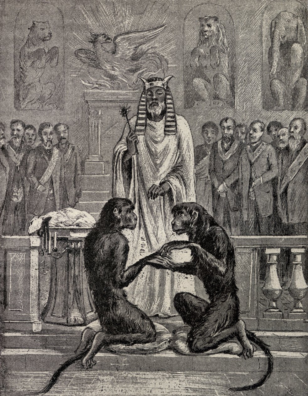 Sacrificando o Cordeiro durante o Casamento dos Macacos, de &39;The Freemason&39;, de Eugen Lennhoff, publicado em 1932 de Unbekannt Unbekannt