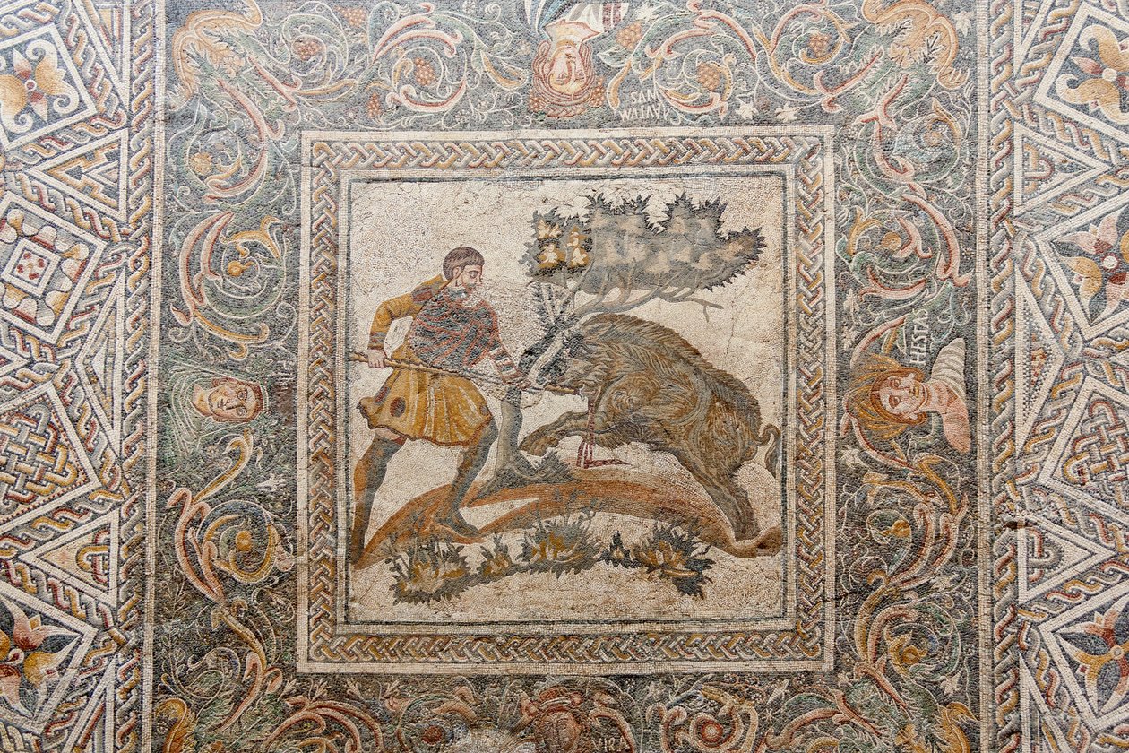 O mosaico da caça ao javali de Unbekannt Unbekannt