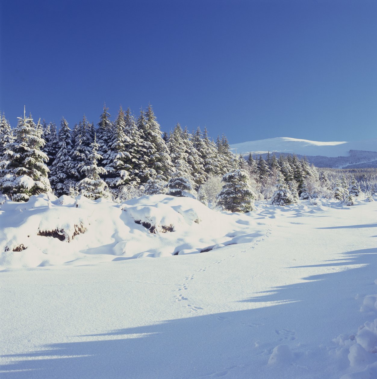 As montanhas de wicklow no inverno de Unbekannt Unbekannt