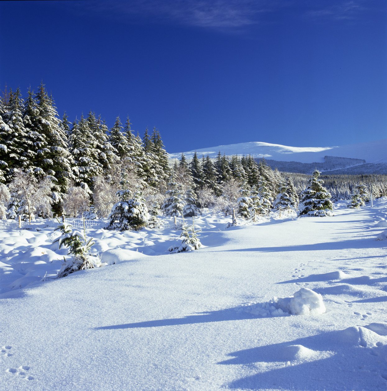 As montanhas de wicklow no inverno de Unbekannt Unbekannt