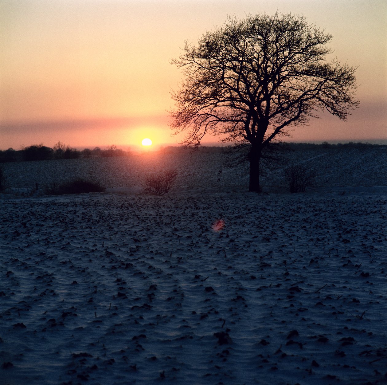 Pôr do sol de inverno, Essex de Unbekannt Unbekannt
