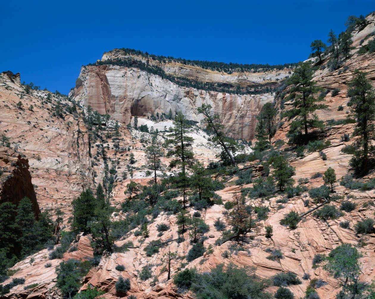 Parque Nacional de Zion, Utah de Unbekannt Unbekannt