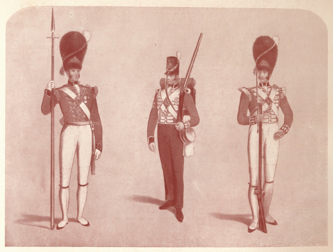 1º Regimento de Guardas ou Granadeiro em 1815, 1909 de Unbekannt