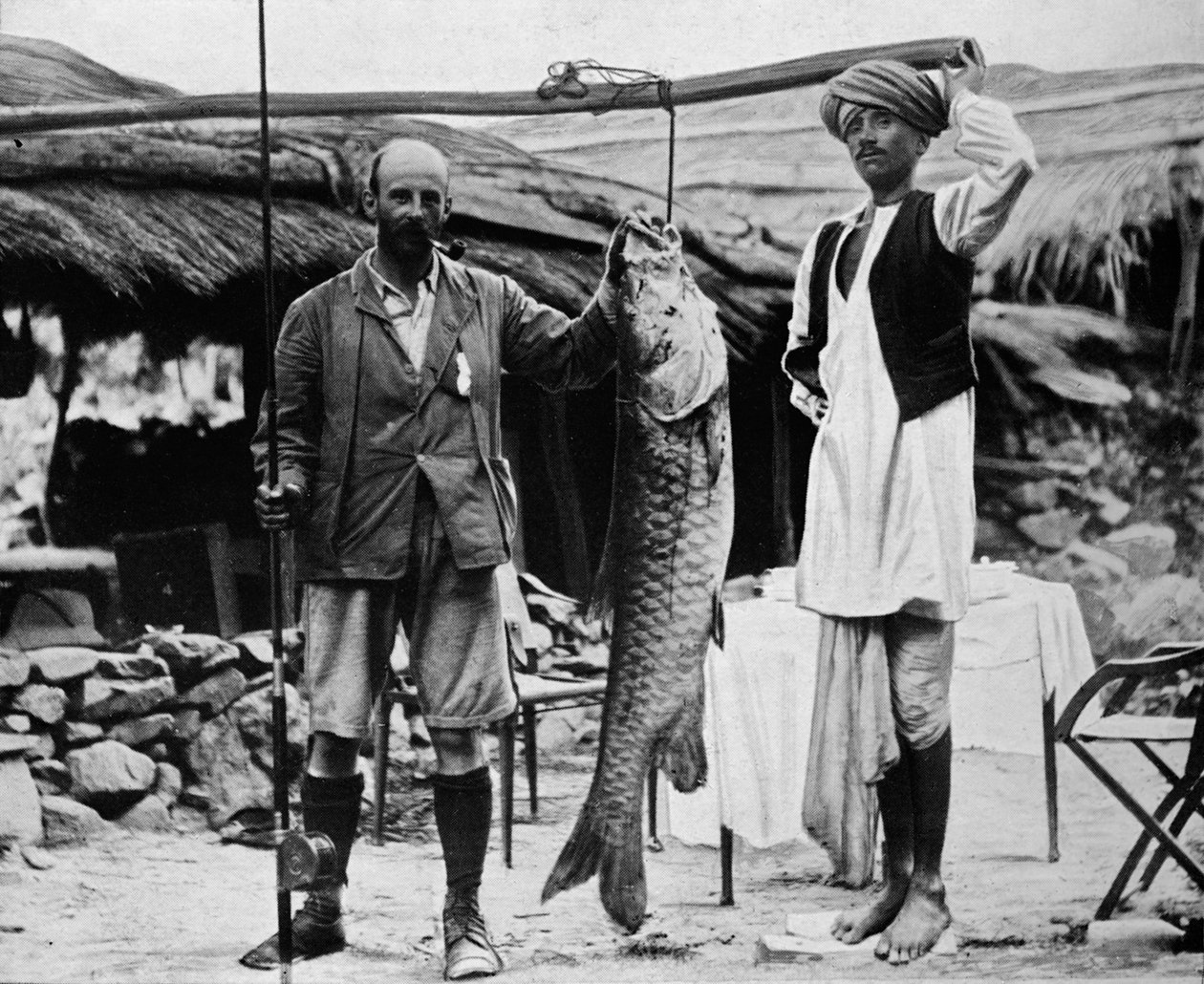 59 lb Mahseer, Capturado pelo Capitão HBD Campbell, RE, no Ganges Superior, c1903, 1903 de Unbekannt
